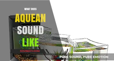 Exploring the Mystical Sounds of Aquean: A Sonic Journey Through Water
