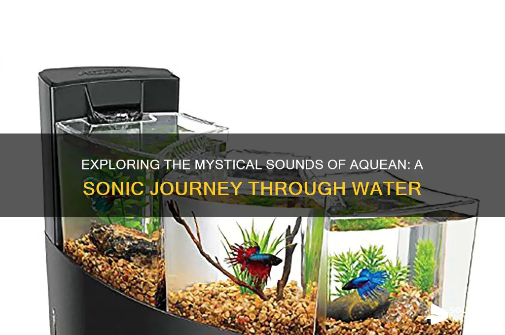 what does aquean sound like