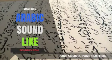 Exploring the Rich, Melodic, and Unique Sounds of Arabic Language