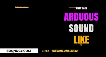Decoding the Sonic Essence of Arduous: A Journey Through Its Auditory Landscape