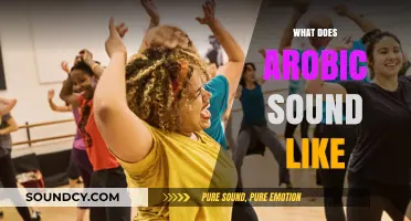 Exploring the Rhythmic Pulse: What Does Aerobic Music Sound Like?