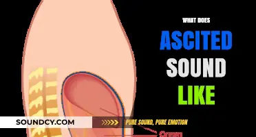 Understanding Ascites: What Does Ascites Sound Like in Medical Diagnosis?