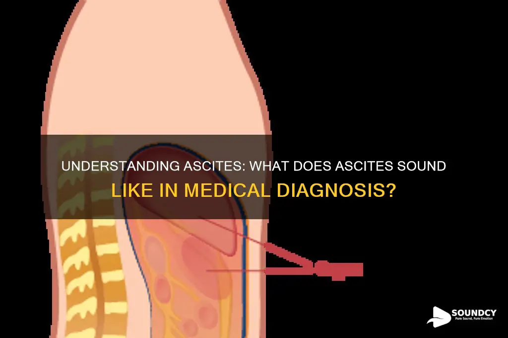 what does ascited sound like