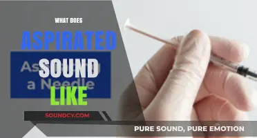 Understanding Aspirated Sounds: How They're Produced and What They Sound Like