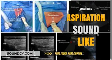Decoding Aspiration: The Audible Essence of Dreams and Ambitions
