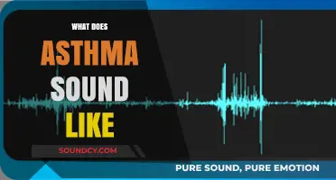 Understanding Asthma: Recognizing the Distinct Sounds of Breathing Difficulties