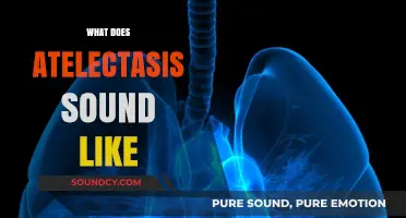 Unveiling Atelectasis: Recognizing the Unique Lung Sounds of Collapsed Tissue
