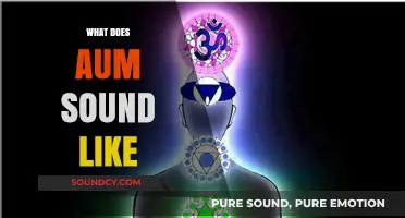 Exploring the Sacred Resonance: What Does the Aum Sound Like?