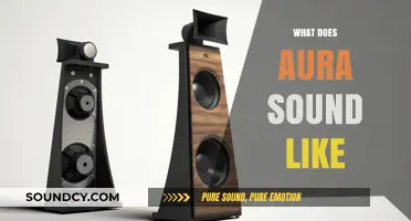 Exploring the Sonic Essence: What Does an Aura Sound Like?