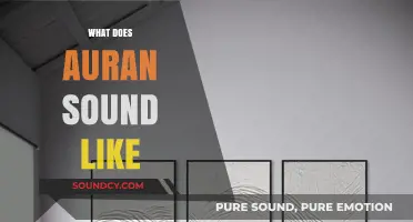 Exploring the Mystical Resonance: What Does Auran Sound Like?