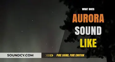 Unveiling the Mystical Sounds of the Aurora Borealis Phenomenon