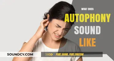 What Does Autophony Sound Like? Understanding Your Own Ear Echoes