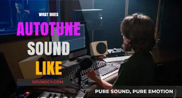 Unveiling Autotune: Its Signature Sound and Impact on Modern Music