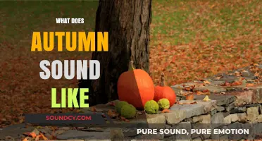 Autumn's Symphony: Decoding the Rustling Leaves and Whispering Winds