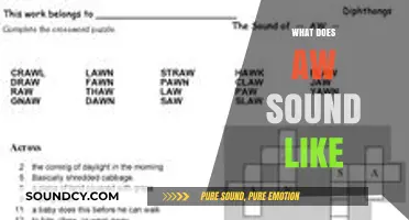 Exploring the Unique AW Sound: What Does It Actually Sound Like?