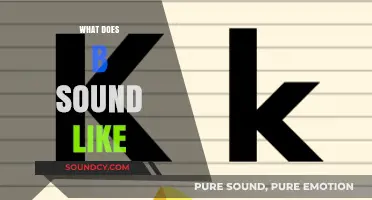 Exploring the Unique Resonance: What Does the Letter B Sound Like?
