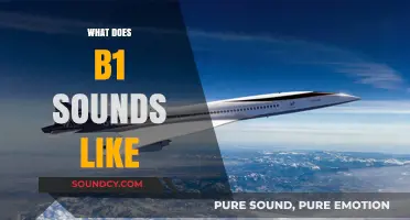 Exploring the Unique Tone and Characteristics of the B1 Sound
