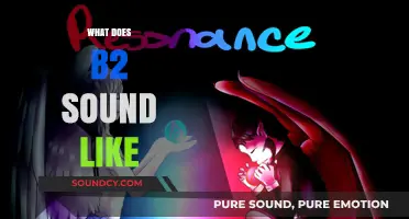 Unveiling the Unique Tone and Resonance of the B2 Note