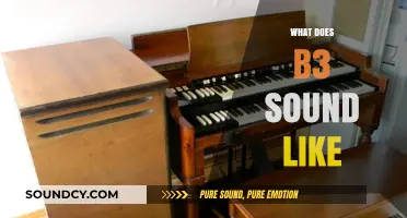 Exploring the Unique Sonic Qualities of the B3 Organ's Signature Sound
