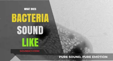 Unveiling the Sonic World: What Does Bacteria Sound Like?