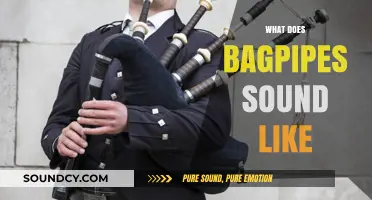 Unveiling the Unique, Haunting Melody: What Do Bagpipes Sound Like?