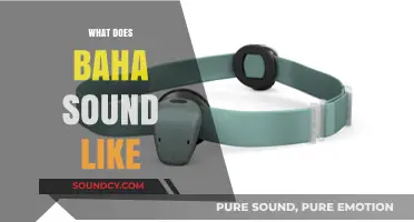 Exploring the Unique Sound of Baha: A Sonic Journey Through Its Music