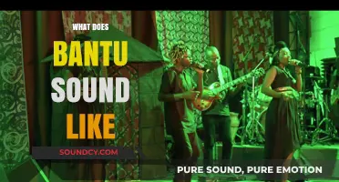 Exploring the Unique Rhythms and Melodies of Bantu Languages