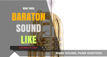 Exploring Baraton's Unique Sonic Identity: What Does It Sound Like?