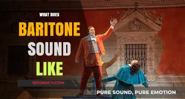 Discover the Rich, Warm, and Deep Tone of Baritone Voices