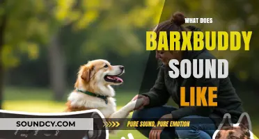 What Does BarxBuddy Sound Like? Exploring Its Unique Sonic Signature