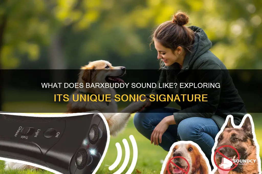 what does barxbuddy sound like