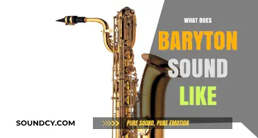 Exploring the Rich, Deep, and Unique Sound of the Baryton Instrument