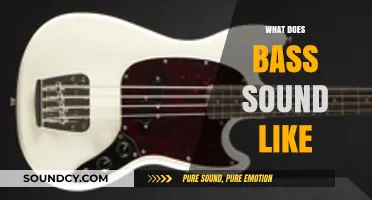 Exploring the Deep, Rich, and Vibrant World of Bass Sounds