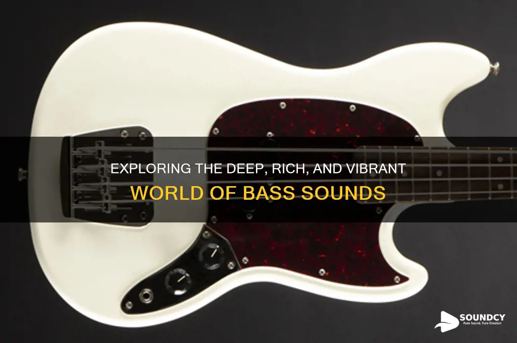 what does bass sound like