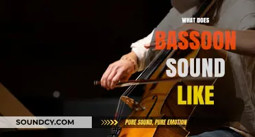Unveiling the Rich, Deep, and Unique Sound of the Bassoon