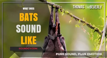 Unveiling the Unique Sonic World: What Do Bat Sounds Really Sound Like?
