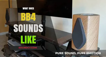 Exploring the Unique Sonic Signature of BB4: What Does It Sound Like?