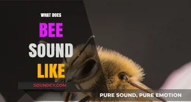 The Buzzing Symphony: Decoding the Unique Sounds of Bees