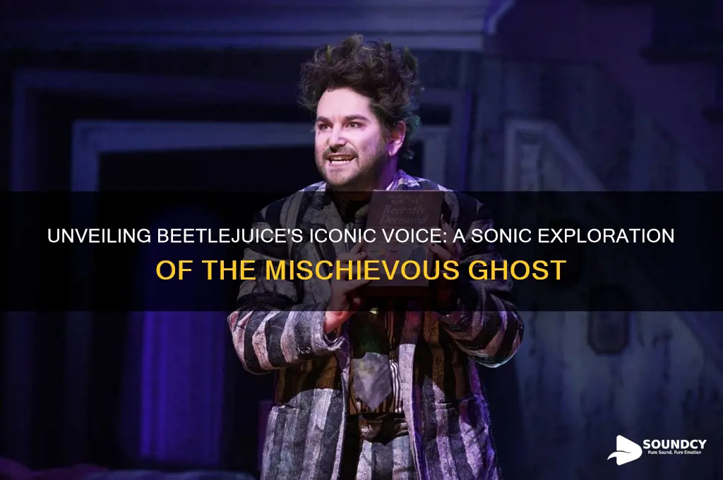 what does beetlejuice sound like