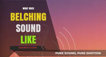 Understanding Belching: What Does a Burp Actually Sound Like?
