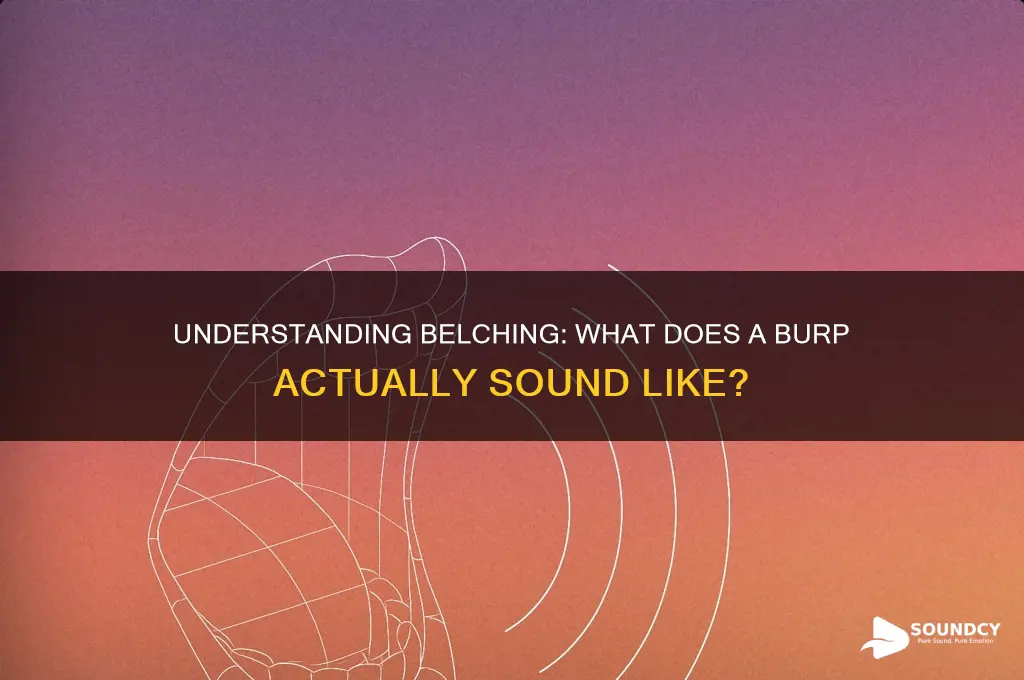 what does belching sound like