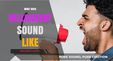 Decoding Belligerence: The Vocal Cues and Tones of Aggressive Speech