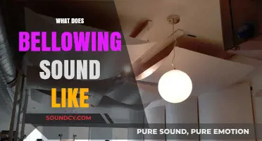 Understanding the Deep, Resonant Tone of Bellowing: What Does It Sound Like?