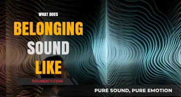 What Does Belonging Sound Like: Exploring the Audible Echoes of Connection