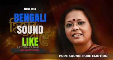 Exploring the Unique Melody and Rhythm of the Bengali Language