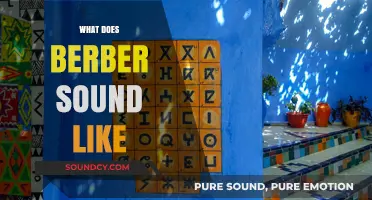 Exploring the Unique Sounds and Rhythms of the Berber Language