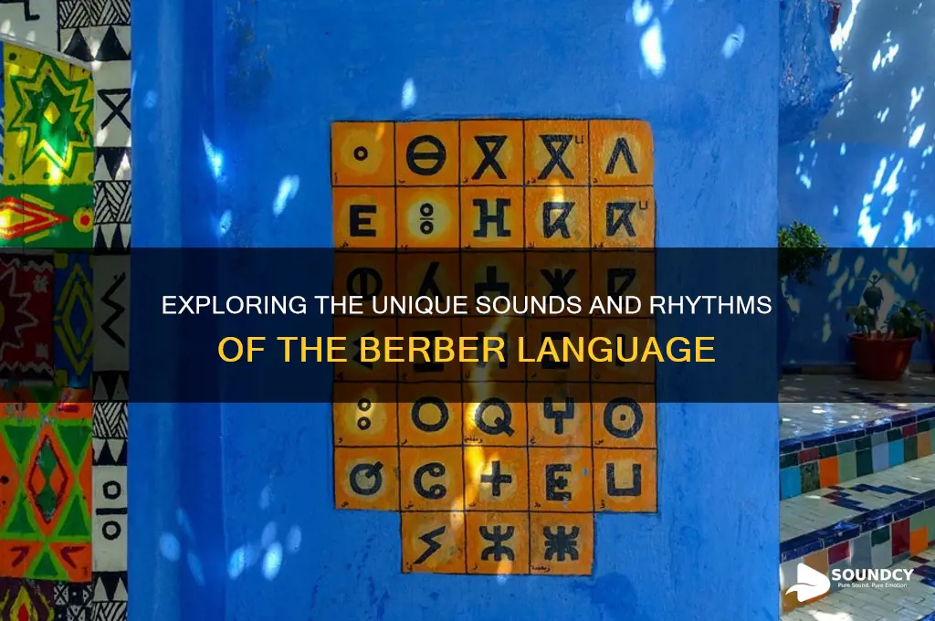 what does berber sound like