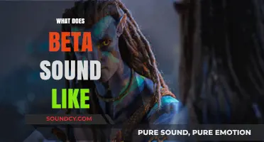 Decoding Beta's Sonic Signature: Exploring the Unique Sounds of Beta