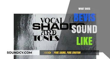 Exploring Bevis' Unique Vocal Tone and Signature Sound Characteristics