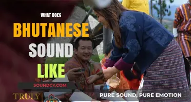 Exploring the Unique Melody and Rhythm of Bhutanese Language Sounds